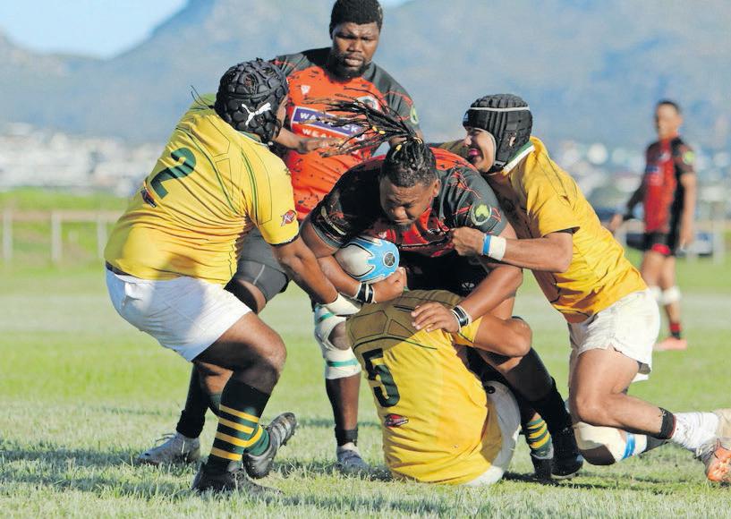 Masiphumelele impress in club rugby season-opener