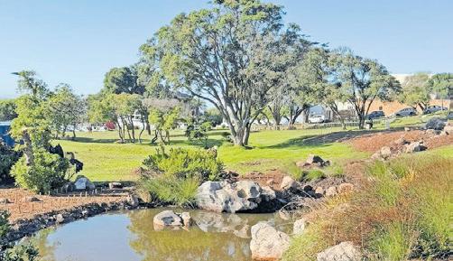 Muizenberg wetland revival continues