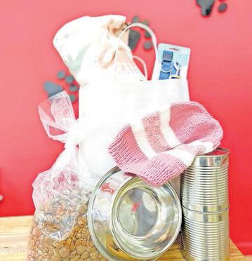 Support vulnerable pets on Mandela Day