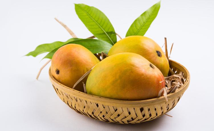 SEASONAL OR SENSATIONAL: The War on All-Year Mangoes