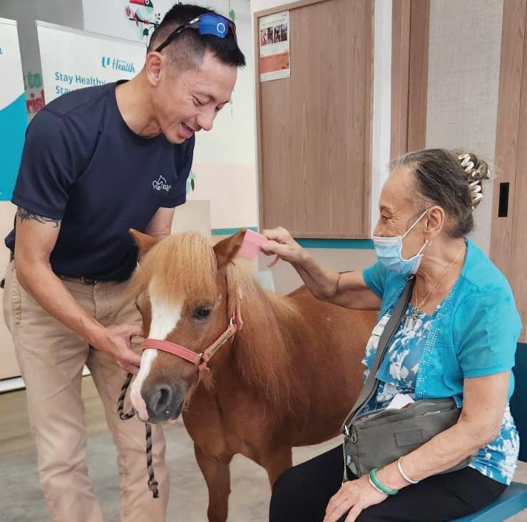 Seniors hoof it to horse therapy as Singapore grapples with challenges of ageing population