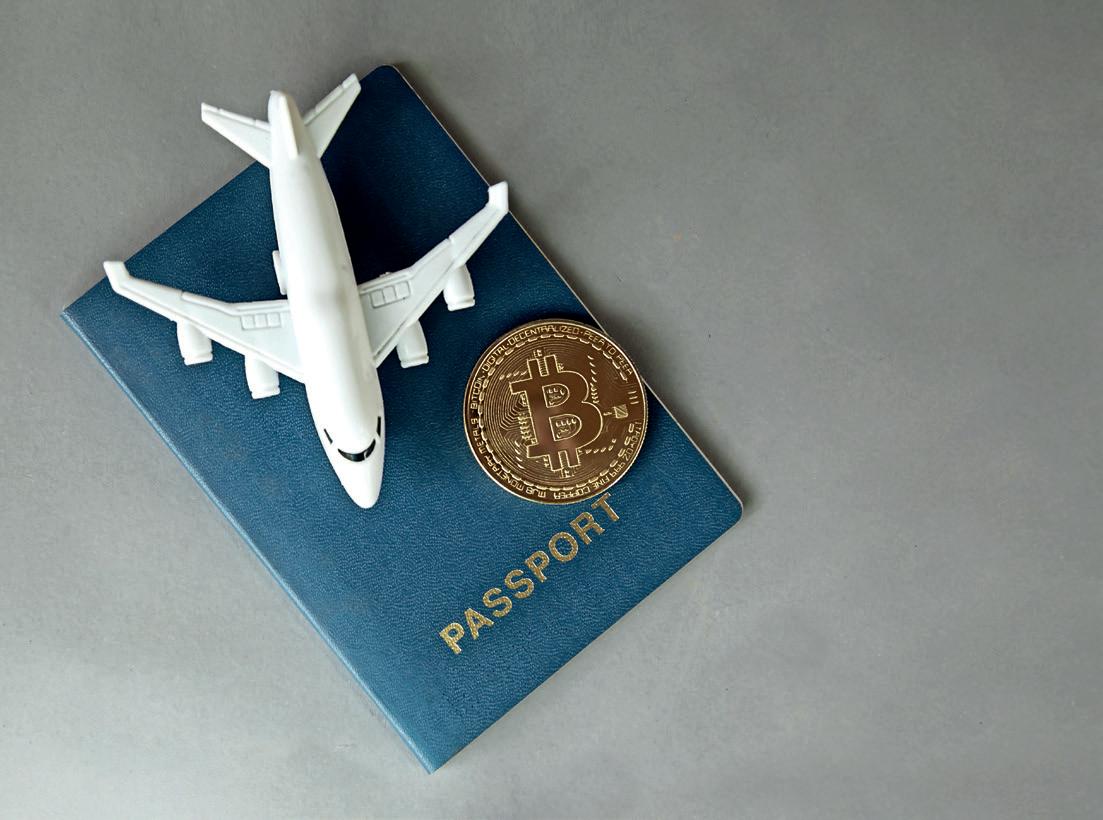 Experts in Global Immigration Programmes