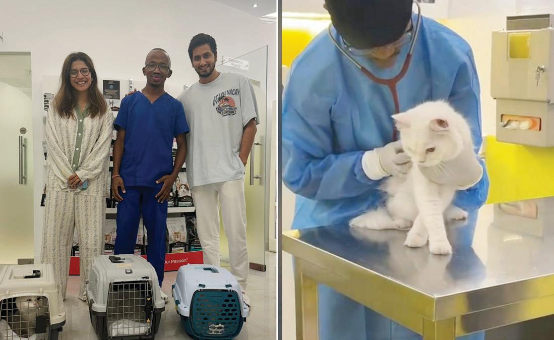 Pets rescued from burning tower as firefighters, vets help