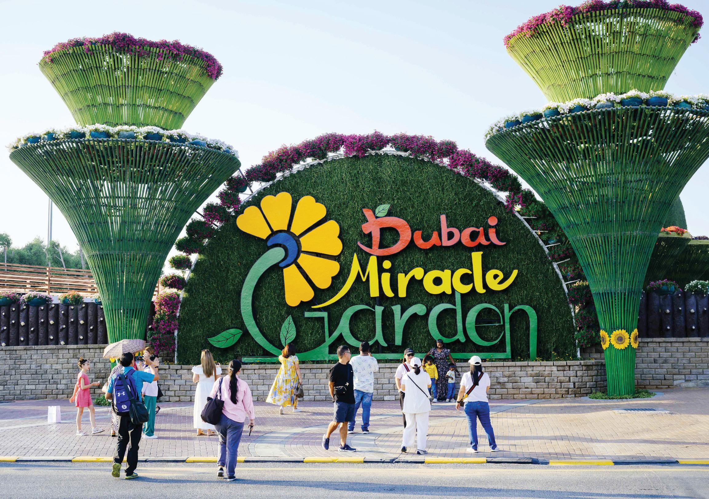 150m flowers bloom as Miracle Garden opens
