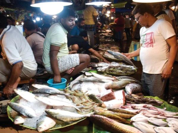 Bangladesh deploys warships to protect prized hilsa fish