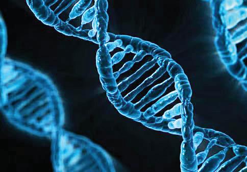 Over 800,000 samples collected under Emirati Genome Programme
