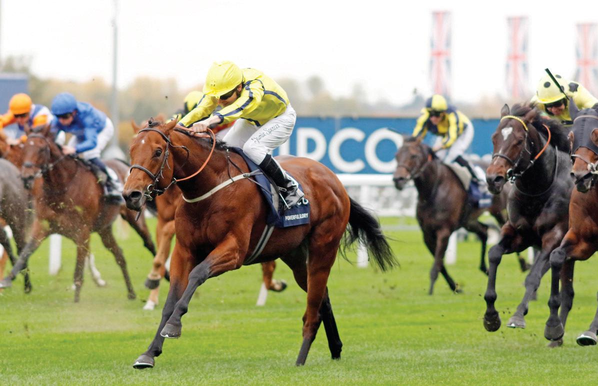 Sheikh Rashid's Powerful Glory steals the show at Ascot Racecourse