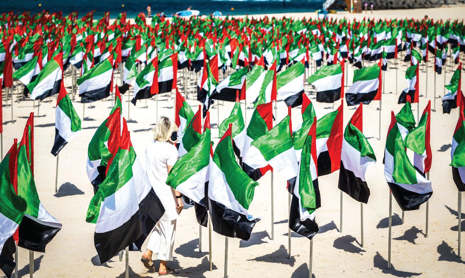 Homes draped in national colours ahead of Flag Day