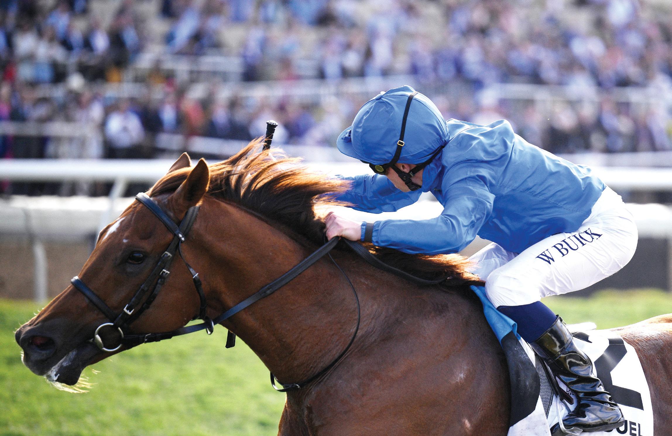 A 'notable' statement from Godolphin as Forever Young makes history