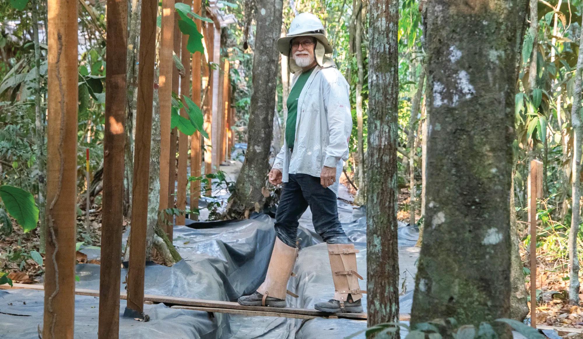 Scientists in Brazil starve trees of water to test Amazon's limits