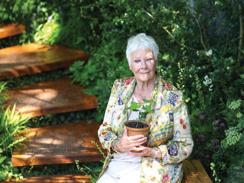 Judi Dench opens up on worsening eyesight