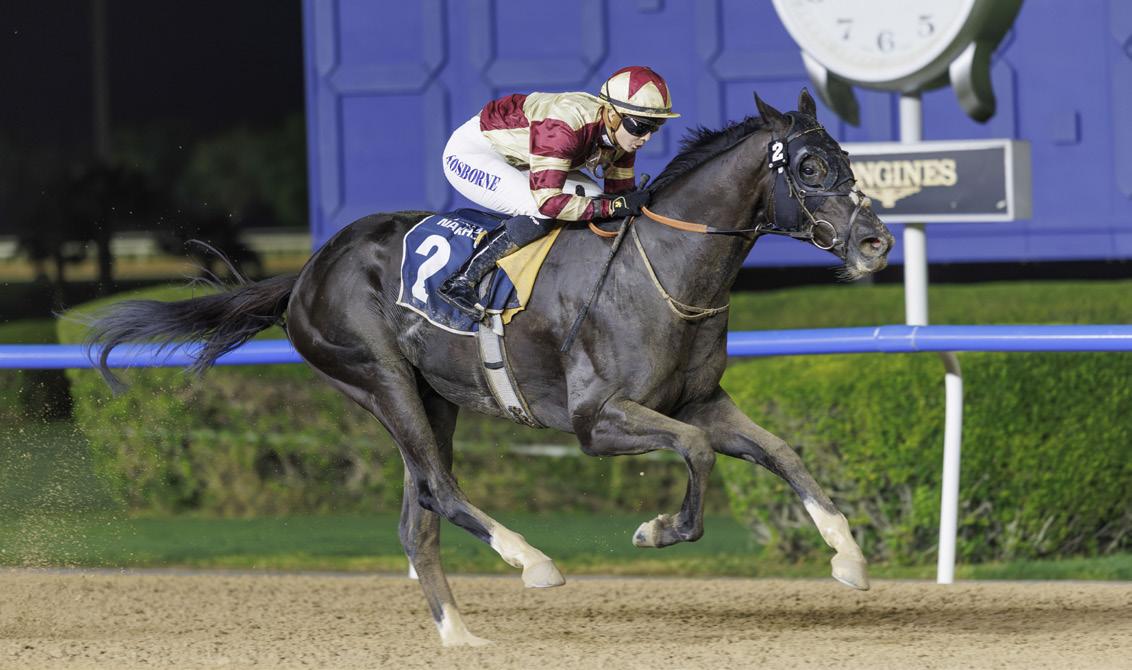 Dubai is the centre of the racing world, says DRC official Charpy