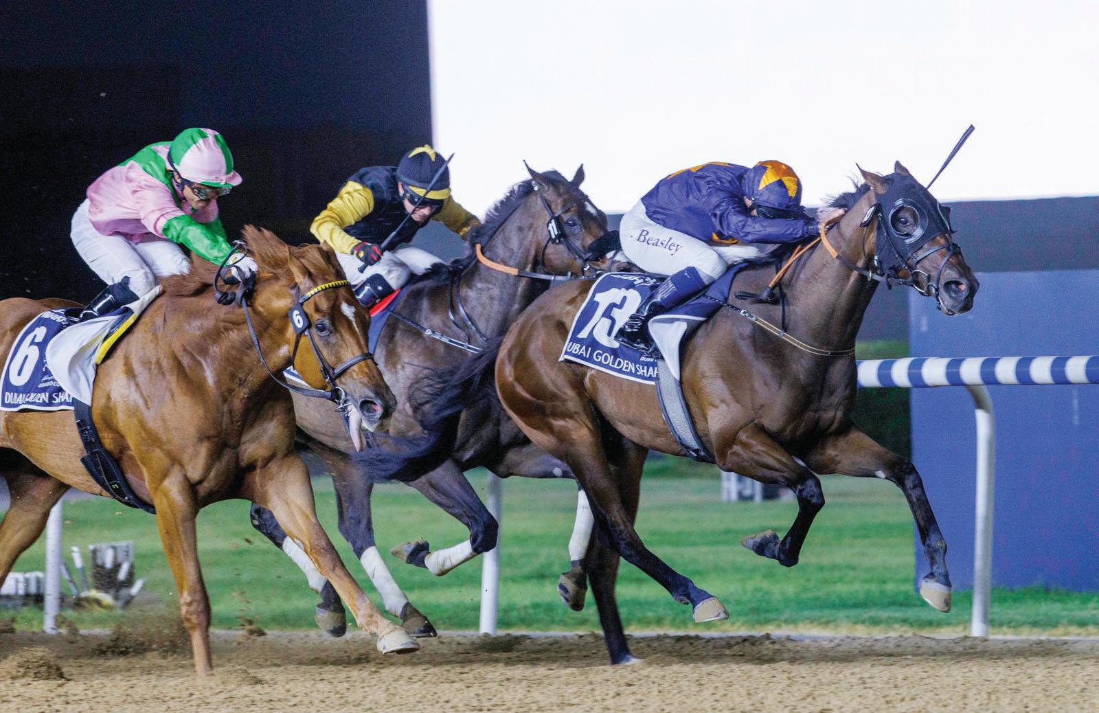 Al Garhoud Sprint set to turn up the heat at Dubai Racing Carnival