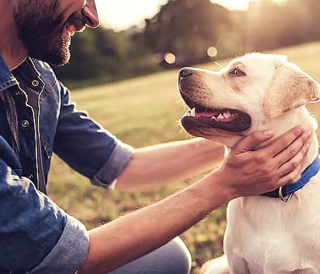 Pets help residents manage grief, deal with mental health challenges