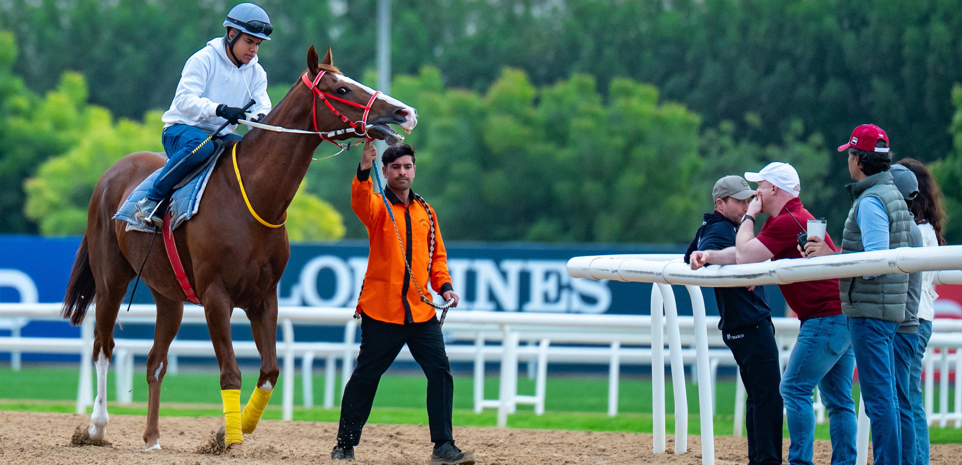 How the iconic Meydan prepares for big races