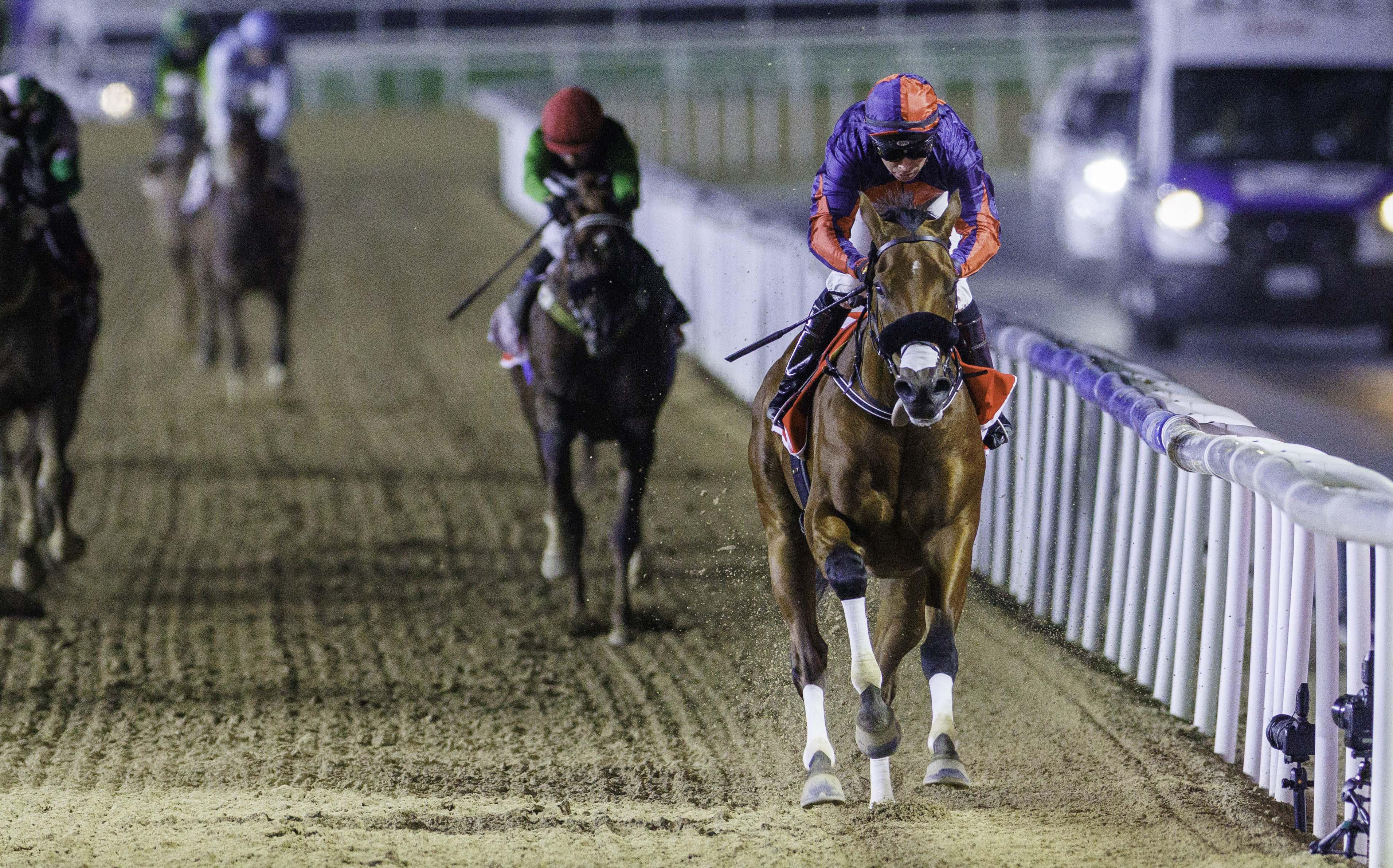 Spotlight on Seemar as Meydan gears up for its Christmas racing