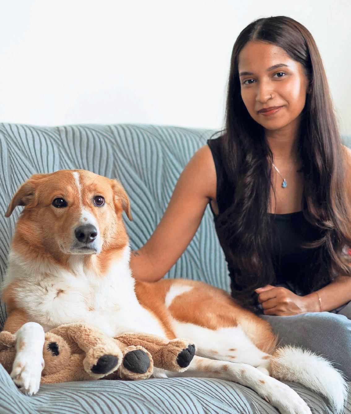 Dubai residents hail AI-powered feeding stations for stray animals
