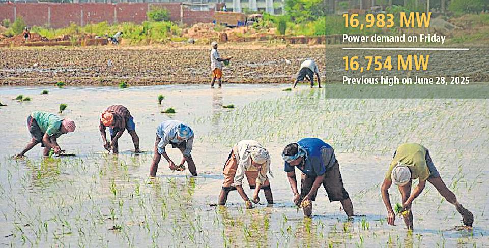Humidity, paddy push Punjab's power demand to all-time high