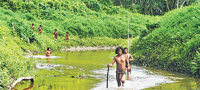 Officials in a fix on how to map uncontacted, secluded tribes