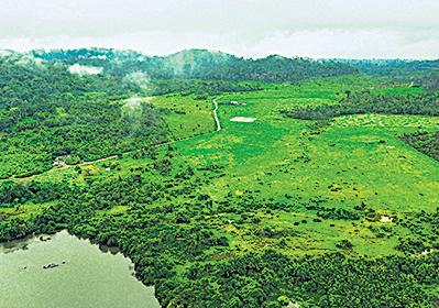 Brazil's Congress passes bill easing environmental licensing rules