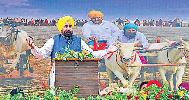 Govt will clear legal hurdles to revive bullock cart races: Mann