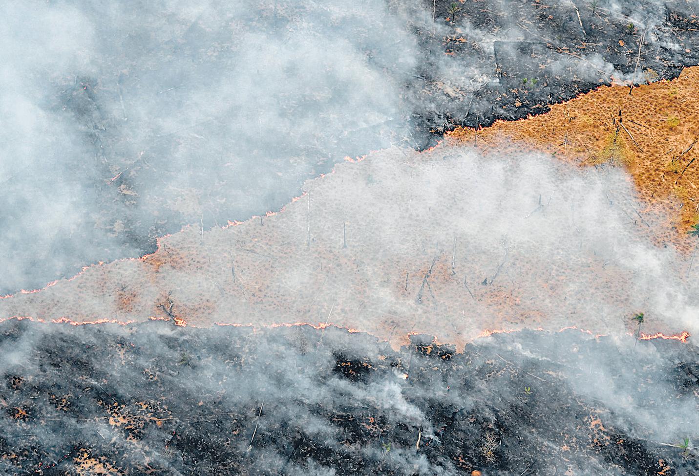 Climate crisis to AI: Challenges facing the future of humanity