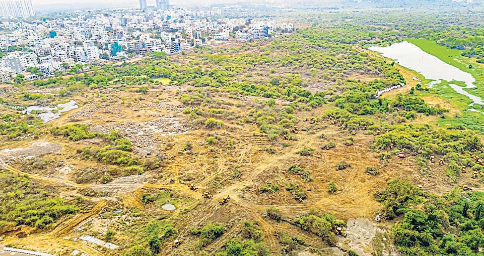 Can't destroy forests in name of sustainable development: SC