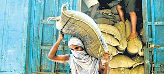 Indian rice companies confident about steady shipments despite Trump threat