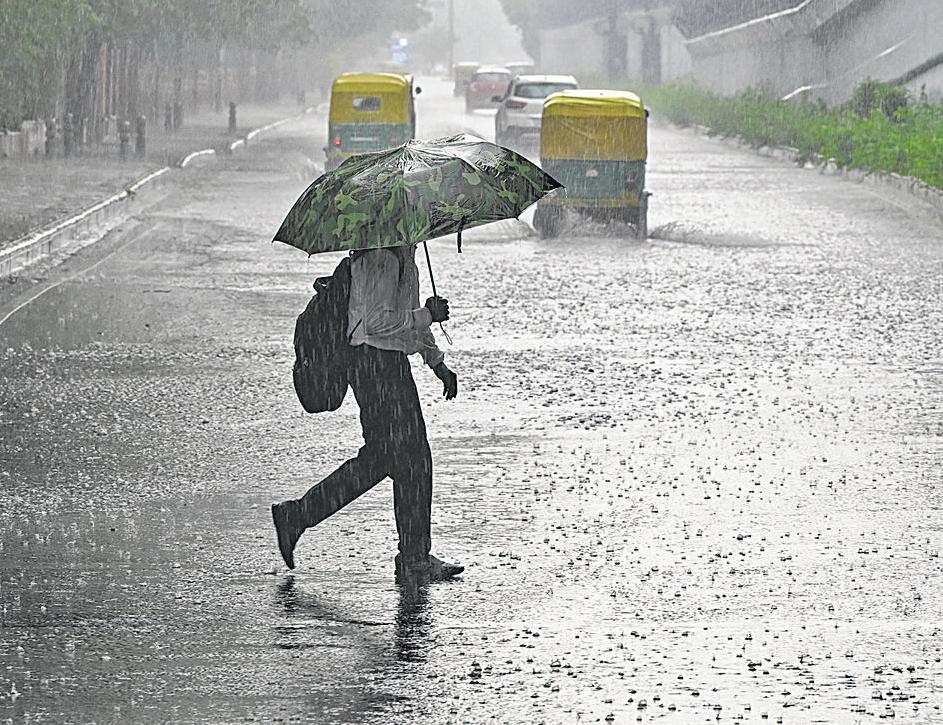 Monsoon arrives, IMD predicts steady march