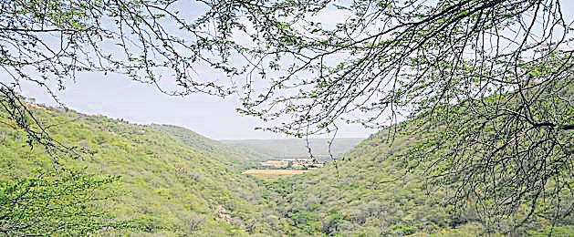 Forest Advisory Committee : Take steps to fast-track, streamline forest clearances