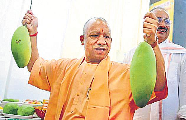 Mango growers enhancing UP’s global image: Yogi