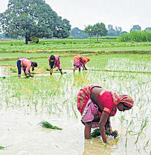PM KISAN SAMMAN NIDHI 6.3 lakh to benefit in Prayagraj; disbursal soon