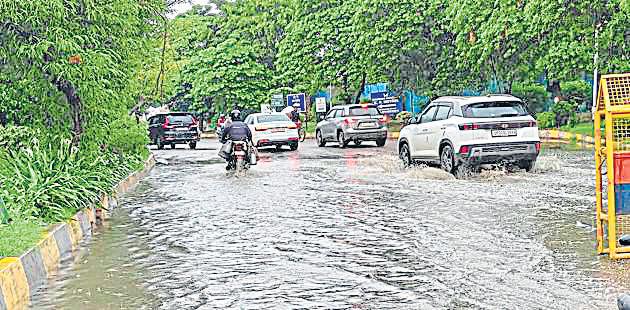 Drowning, hailstorm, snakebites claim 28 lives in 48 hours in state