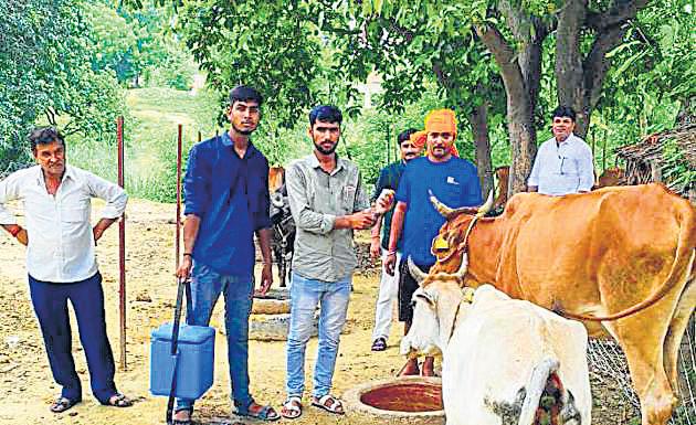 Mega vax drive launched to protect animals