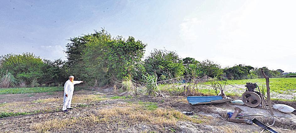 Leopard attack, images, and sightings: Anxious villagers seek forest dept help