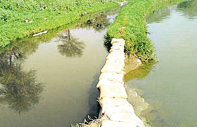 NGT seeks clarity on effluents in Hry’s ‘freshwater’ drain