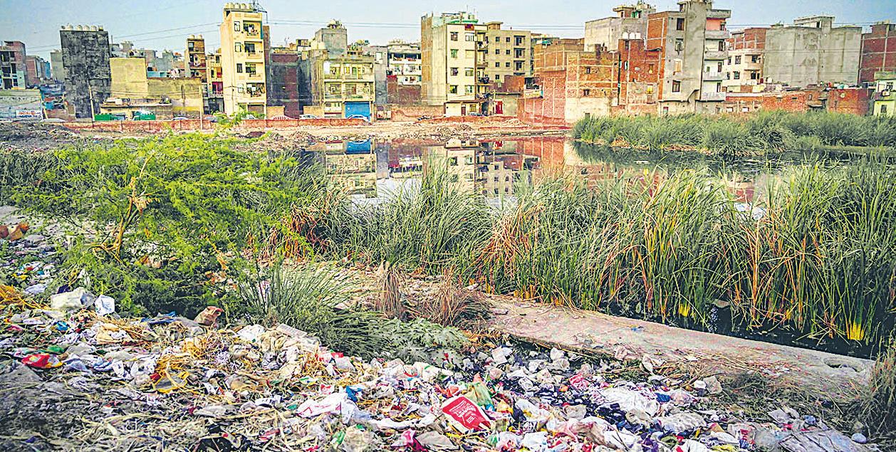 As wetland vanishes under waste, agencies trade blame