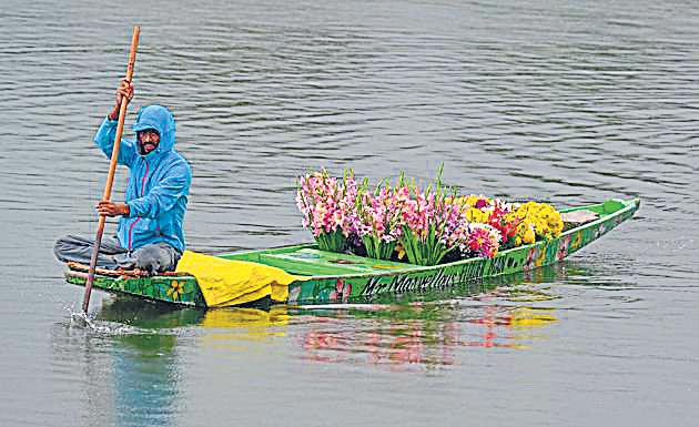 Wet July week brings down rain deficit in Valley from 52% to 17%