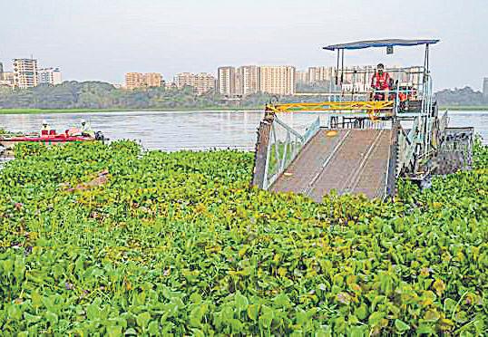NGT forms joint committee to look into grievances of residents about Powai Lake, seeks report in a month