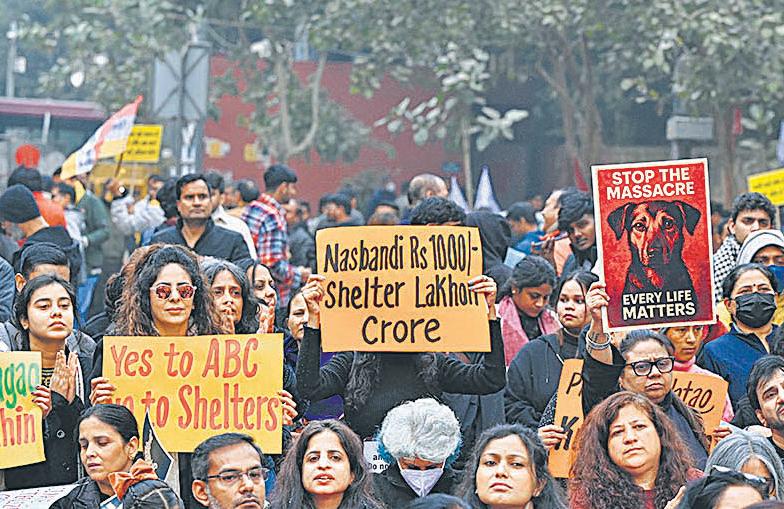 Protesters call for SC stray dogs order to be rolled back