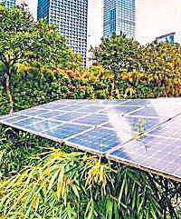 NLC bets big on RE, plans ₹1.25 lakh cr capex by '30