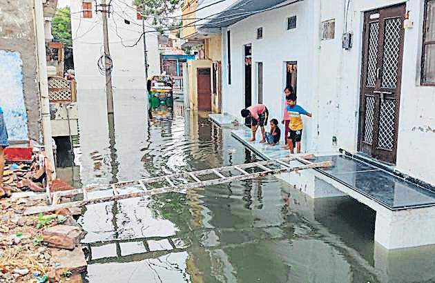 At least 20 dead in Raj as heavy rain continues to wreak havoc