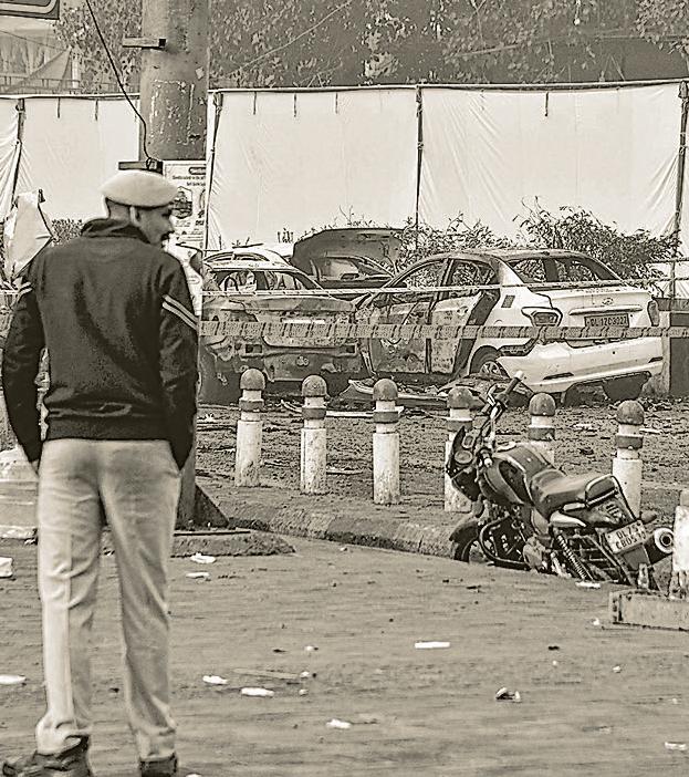 Homegrown blueprints for countering terrorism