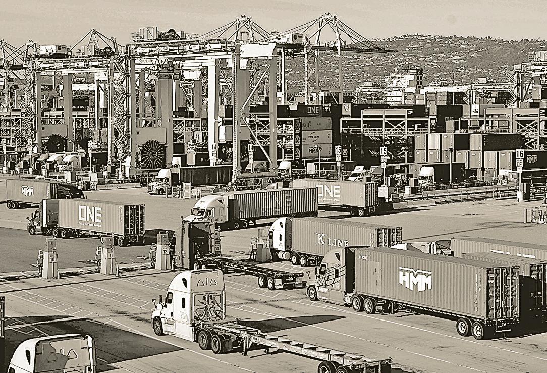 Need a stronger WTO to fight Trump’s trade pivot