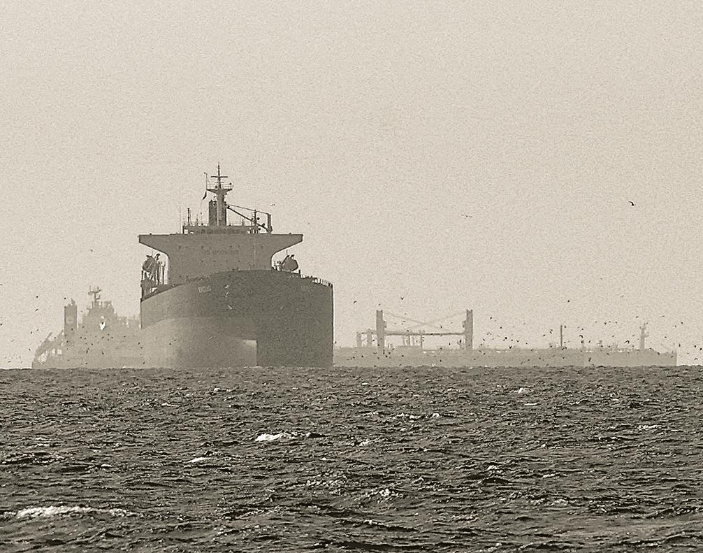 The Iran war and the shifting Gulf dynamics