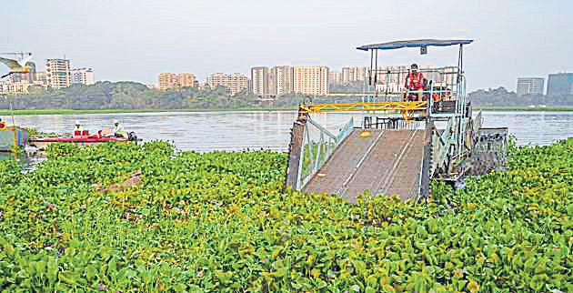 NGT forms joint committee to look into residents’ grievances about Powai Lake