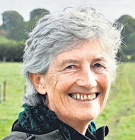 Ireland set to get new prez