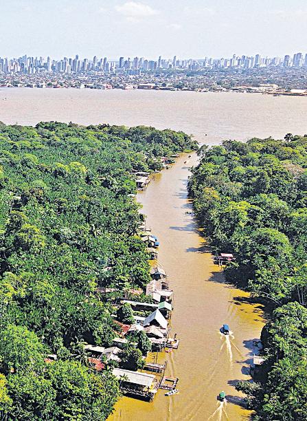 COP30 host Brazil launches key forest conservation fund