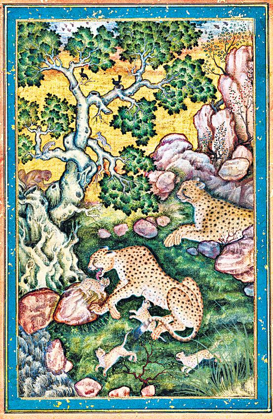 Language, launches, lawsuits and a few trillion in between