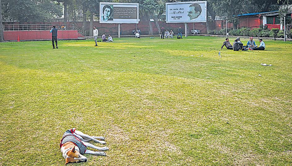 Bihar loss deepens Opposition slump in Hindi-speaking belt since '14 polls